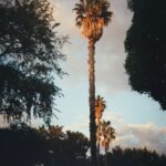Sofia Wylie Instagram - I think I… like it here?