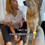 Olga Orlova Instagram - Шизофреники, кроме меня, еще есть?😂
Отзовитесь, молю😅🤪🙏🏼
