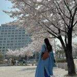 Hyomin Instagram - 벚꽃놀이는 처음이라... ❀.❀