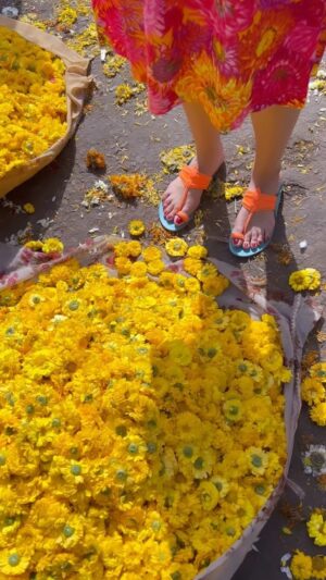 Beauty Gonzalez Instagram - Serendipity 🌼
You know how we often dress for the occasion?
How we try our best to choose the perfect outfit for the place we are going,
Well this was one of those days where everything just fell into place , this 60’s Vintage dress by @loewe felt perfectly Matchy Matchy with the actual flowers at the Jaipur Flower Market. 
Same intensity same brightness, as if the garlands fell straight from my dress. 🧡
Serendipity others say, we in the Philippines say
Chamba! 💜