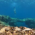 Sarah Michelle Gellar Instagram - Vacation dump 2 - underwater edition (bonus points for finding Flotsam or was it Jetsam ?!? )