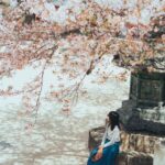 Marie Kondo Instagram - I love cherry blossoms! They bring me so much joy!
#sakura #cherryblossoms