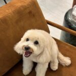 Mina Al Sheikhly Instagram - هل يومين رجعني لايام الكورونا لانو كاعدين بالبيت 😅
بس جانت اجواء حلوة 🤍

شلون جان اسبوعكم ؟ 

#myhappymoments #minasjourney