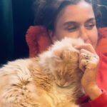 Şevval Sam Instagram – Pudra şekerim Pudrik’im’e bi maşallahınızı rica ediyorum efenim🧿🧿🧿🧿🧿🥰 🐈