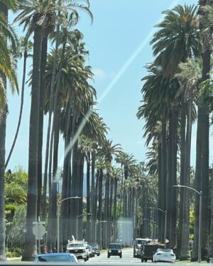 Caro Daur Instagram - Anzeige // attachment: 10 images from Los Angeles