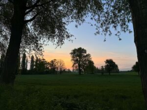 Katherine McNamara Instagram - Thank you to the #Shadowfam and Germany for a beautiful weekend! You are truly angels. #MortalHunters3 🇩🇪🖤✨ #ShadowhuntersLegacy