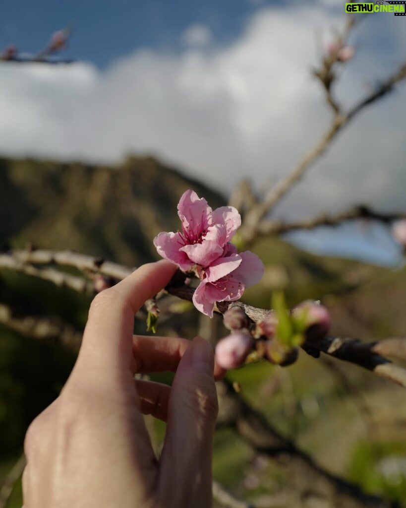 Nikki Reed Instagram - Earth Day everyday. Loving watching modern science take an interest in the healing effects of grounding. Something so simple can be quite powerful, but we still remain skeptical because we have been convinced by this ever growing business also known as the wellness industry that healing can’t be free. While there are a number of avenues, modalities, tests, procedures and supplements that can/should/will cost money, it is still important to acknowledge all that we have right at our fingertips, or under our toes :). One thing that most of us feel without question is the Earth’s ability to bring us into a place of calm when our bodies have direct contact with soil and trees, or time spent in/around water, and the sounds of songs found in nature. I still find it wild that we are brought to the same vibration just by spending time with her. It just goes to show that are natural rhythms are meant to remain intertwined with the Earth, but yet technology pulls us further and further away while feeding us the illusion of connectedness. It is up to us to return to nature, and as a result, return home to ourselves. What are your thoughts on nature’s ability to heal? Curious if you have any stories to share!