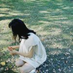 Victoria Song Instagram - 🍁🤭🌻