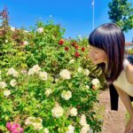 Marie Kondo Instagram - Happy Earth Day! What are your favorite ways to take steps towards a more sustainable lifestyle? I hope some of you learned what truly sparks joy for you and are more mindful when consuming things!✨ #earthday #sustainability #konmarimethod