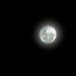 Alinne Moraes Instagram - 🌕 🐈