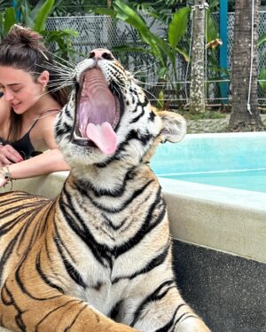 Rabia Soytürk Instagram - ve mutlu son 😻