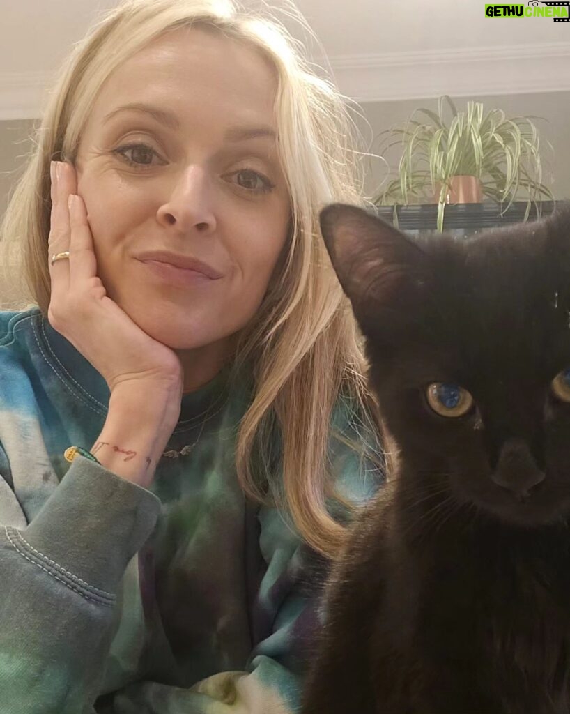 Fearne Cotton Instagram - I’m super excited to announce that I’m officially an ambassador for animal welfare charity @themayhew! You will have seen me talking about them a lot on here recently – I really think the work they do is amazing. I’ve adopted three cats from the Mayhew, most recently our gorgeous Super Frank, and I know the joy that a rescue animal brings to your life. The demand for the Mayhew’s services is skyrocketing at the moment and they need our support more than ever. So please, give them a follow and if you’re looking to add a dog or cat to you life, I urge you to check them out. And watch this space – we’ll be working together to make a real difference to dogs, cat and communities!
@themayhew ❤️