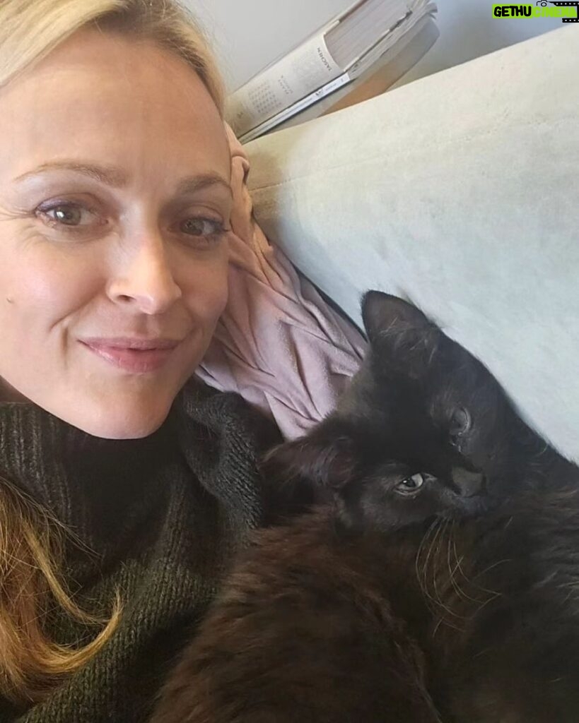 Fearne Cotton Instagram - I’m super excited to announce that I’m officially an ambassador for animal welfare charity @themayhew! You will have seen me talking about them a lot on here recently – I really think the work they do is amazing. I’ve adopted three cats from the Mayhew, most recently our gorgeous Super Frank, and I know the joy that a rescue animal brings to your life. The demand for the Mayhew’s services is skyrocketing at the moment and they need our support more than ever. So please, give them a follow and if you’re looking to add a dog or cat to you life, I urge you to check them out. And watch this space – we’ll be working together to make a real difference to dogs, cat and communities!
@themayhew ❤️