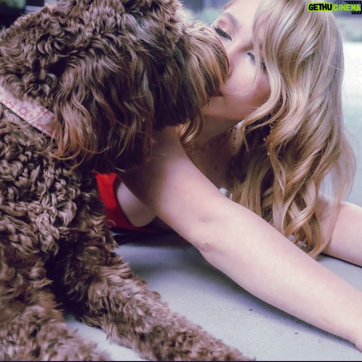 Ella Anderson Instagram - "you remind me of a puppy dog,
think you are fierce and mighty
but inside you’re so damn soft
got good intentions 
but you’re using disproportionate paws
no leash, trust that you’re trained
but do you even have a cause…?"

Puppy Dog out now on all streaming platforms

@lophiile 
@youngteamm