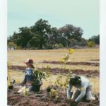 Rachel Cook Instagram - Happy earth day, Earth! Here’s to regeneration babyyy! Because without you 🌎, there’s no me. But without me, there’s still you. 😂 Get ready for farm girl mode! 😜 #earthday#regeneration#syntropy#syntropic#agroforestry#regerative#savesoil