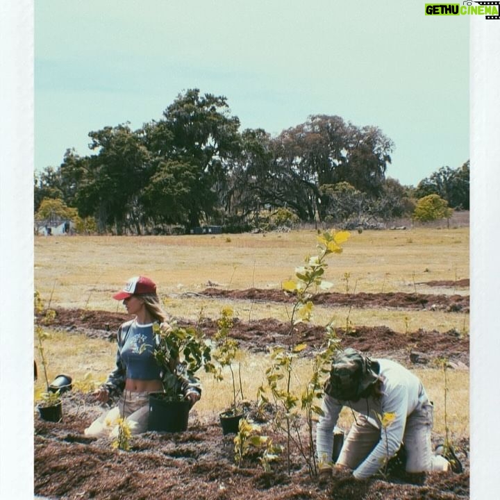 Rachel Cook Instagram - Happy earth day, Earth! Here’s to regeneration babyyy! Because without you 🌎, there’s no me. But without me, there’s still you. 😂 Get ready for farm girl mode! 😜 #earthday#regeneration#syntropy#syntropic#agroforestry#regerative#savesoil