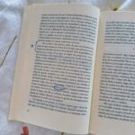 Clara Galle Instagram - Un soliloquio es una reflexión interior o en voz alta y a solas. Sí que estoy sola y loca cuando me hablo a mí misma por las mañanas y el cielo viste aún una franja rosa. La planta mira triste y mustia cómo primero echo agua a la cafetera. ¿Cuántas frases tendré aferradas en el estómago porque las mariposas no las quieren soltar? 
Viajo en tren porque ahí pienso más. Tomar el tren es como colocar el marca páginas al tiempo, cerrar la tapa y dejar descansar la vida ahí, hasta llegar a mi estación y retomar el libro.
¿Qué pasaría si en los ríos hubiera olas? A veces me gustaría convertir las frases estridentes que hacen algunas personas en el sonido del agua entre las rocas. 
Mi espejo es un lago y ahí es donde veo mis peces y mis algas. 
¿Las rocas se ponen de acuerdo para formar huecos perfectos por donde vislumbrar el cielo? 
“Ojalá poder fijar cada momento con un esfuerzo supremo. “
- C✨