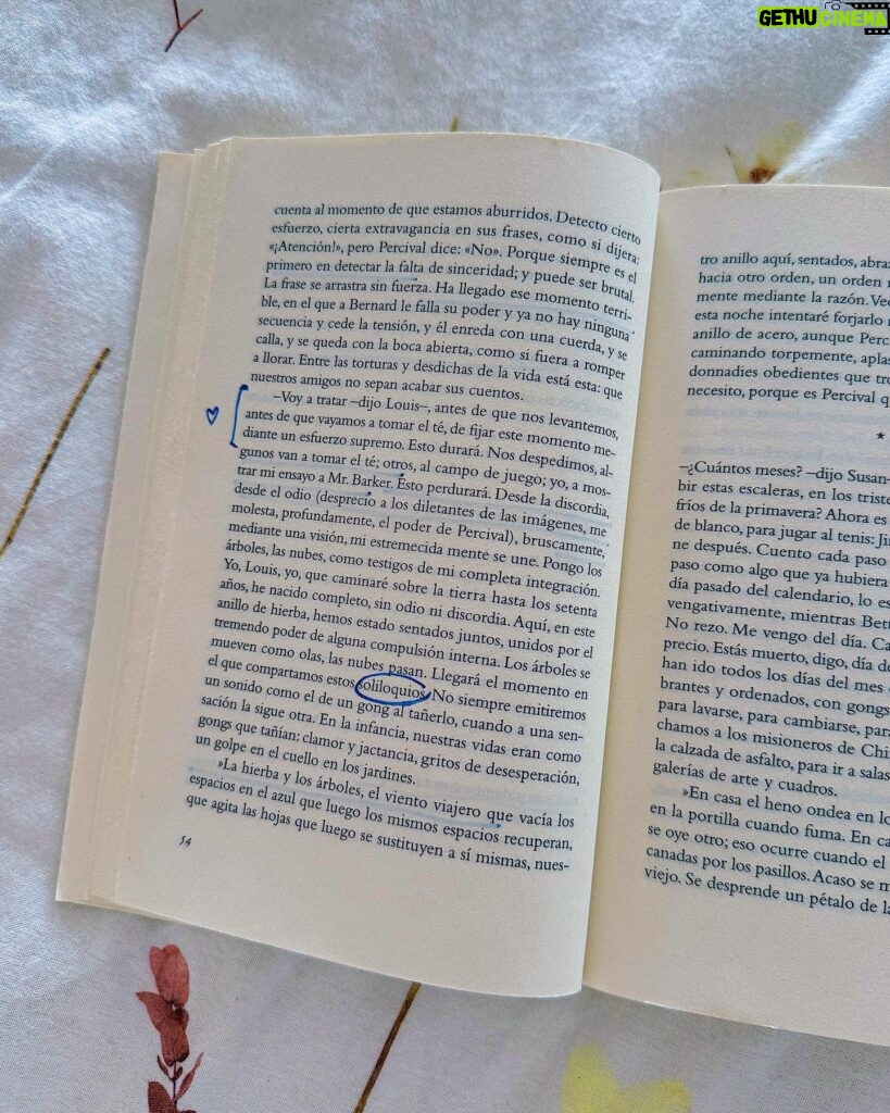 Clara Galle Instagram - Un soliloquio es una reflexión interior o en voz alta y a solas. Sí que estoy sola y loca cuando me hablo a mí misma por las mañanas y el cielo viste aún una franja rosa. La planta mira triste y mustia cómo primero echo agua a la cafetera. ¿Cuántas frases tendré aferradas en el estómago porque las mariposas no las quieren soltar? 
Viajo en tren porque ahí pienso más. Tomar el tren es como colocar el marca páginas al tiempo, cerrar la tapa y dejar descansar la vida ahí, hasta llegar a mi estación y retomar el libro.
¿Qué pasaría si en los ríos hubiera olas? A veces me gustaría convertir las frases estridentes que hacen algunas personas en el sonido del agua entre las rocas. 
Mi espejo es un lago y ahí es donde veo mis peces y mis algas. 
¿Las rocas se ponen de acuerdo para formar huecos perfectos por donde vislumbrar el cielo? 
“Ojalá poder fijar cada momento con un esfuerzo supremo. “
- C✨