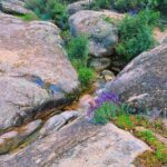 Clara Galle Instagram - Un soliloquio es una reflexión interior o en voz alta y a solas. Sí que estoy sola y loca cuando me hablo a mí misma por las mañanas y el cielo viste aún una franja rosa. La planta mira triste y mustia cómo primero echo agua a la cafetera. ¿Cuántas frases tendré aferradas en el estómago porque las mariposas no las quieren soltar? 
Viajo en tren porque ahí pienso más. Tomar el tren es como colocar el marca páginas al tiempo, cerrar la tapa y dejar descansar la vida ahí, hasta llegar a mi estación y retomar el libro.
¿Qué pasaría si en los ríos hubiera olas? A veces me gustaría convertir las frases estridentes que hacen algunas personas en el sonido del agua entre las rocas. 
Mi espejo es un lago y ahí es donde veo mis peces y mis algas. 
¿Las rocas se ponen de acuerdo para formar huecos perfectos por donde vislumbrar el cielo? 
“Ojalá poder fijar cada momento con un esfuerzo supremo. “
- C✨