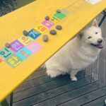 Han Hyo-joo Instagram - Make your meaningful words in HANGEUL 한글 🤍

자유와 평등, 화합의 의미가 담긴 한글은 우리 대한민국의 가장 혁신적인 문화자산입니다. 

👉🏼www.hangeulwall.org

 #HangeulWall #IkJoongKang #kccny