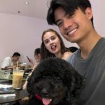 Meganne Young Instagram - 2024 has been 🫶 #BonezSobaChia

From quick trips to long afternoons in the park. There’s been a lot to be happy about 😍🎉 On another note, the love I have for the dogs has caught me by surprise. Sooo intense and still growing🥺😍 #DoubleIncomeLittleDogOwnersFTW #DecidedNotToPutDownTheAcronym 😂