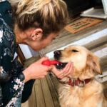 Burcu Biricik Instagram - 🐶