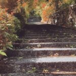 Kasumi Arimura Instagram - 🍃🍂
