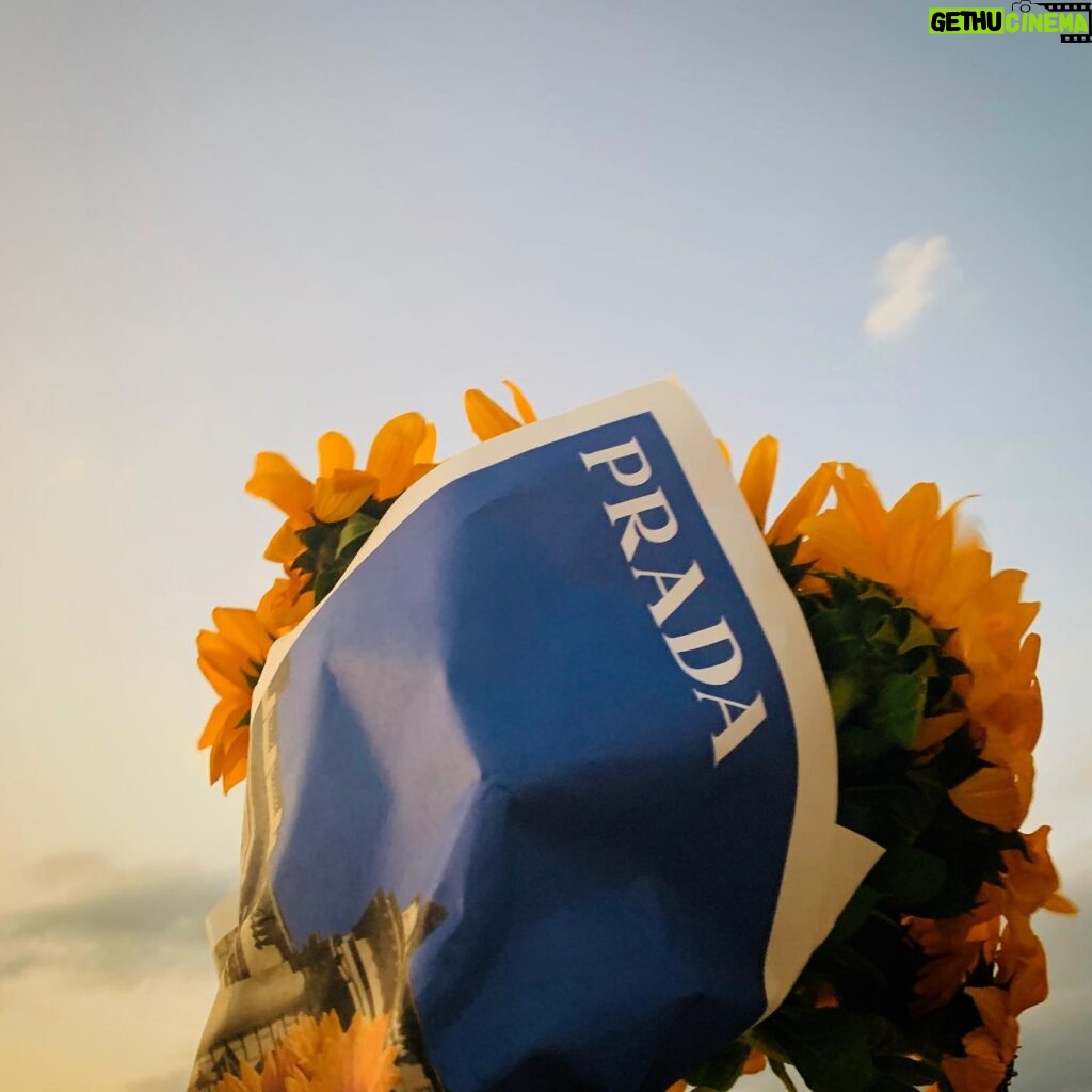 Asami Mizukawa Instagram - ひとつの種類のお花をザクッと束にするのは贅沢だし、新聞紙風の包み紙もおしゃれ🌻
#prada
#pradaseditioussimplicity