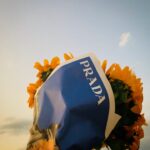 Asami Mizukawa Instagram – ひとつの種類のお花をザクッと束にするのは贅沢だし、新聞紙風の包み紙もおしゃれ🌻
#prada
#pradaseditioussimplicity