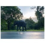 Melissa Benoist Instagram - Ayubowan, Sri Lanka 🇱🇰 you are beautiful and we loved you