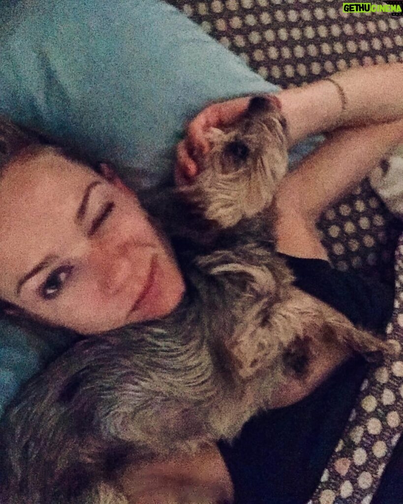A.J. Cook Instagram - She just loves me so much....right??? Of course she’s not trying to suffocate me in my sleep. 🤔 #iwokeuplikethis #dogs