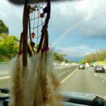 A.J. Cook Instagram - #dreamcatchers and #rainbows How #unicorns are made. 🦄 @nathanandy
