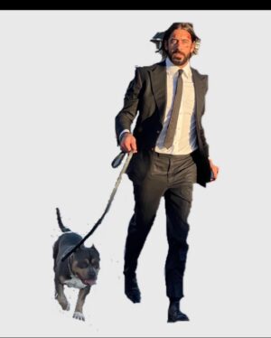 Aaron Rodgers Instagram - I’m thinking I’m back...

Para Bellum. 

#theboogeyman @johnwickmovie #