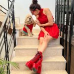 Aastha Gill Instagram - Tippy tippy tap, what colour you want? 🧡➡️❤️➡️💗➡️💛 #AasthaGill #BellaGill #AGOG #twinningiswinning #twinning #cockerspaniel