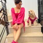 Aastha Gill Instagram - Tippy tippy tap, what colour you want? 🧡➡️❤️➡️💗➡️💛 #AasthaGill #BellaGill #AGOG #twinningiswinning #twinning #cockerspaniel