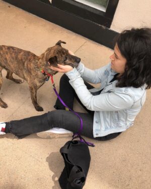 Abbi Jacobson Instagram - Desi, my guy. ❤️
My little teacher who showed up and taught me how to love unconditionally, to trust and earn trust. As someone who has often felt “tricky” to love (had been told I was tricky once by a therapist…,) I found my tricky counterpart in Desi. And I learned that “tricky” isn’t bad or hard, just different and specific. And then, that “tricky” is full of care and patience and sweetness. Desi was treated pretty badly before we met, he had a bb bullet in his side and thus had a ton of anxiety and fear around people, and so we had to figure out how to start again— and we did, together. I’m so lucky to have gotten to share my life with the gentlest, weirdest, hilarious, most handsome companion during some of the most difficult, significant and transformative years I’ll probably ever have. I will forever be grateful we found each other and for @muttscouts for finding Desi.

When a being dies, people say the sadness you feel is equivalent to the amount you loved them. And that feels true, a wave of loss for my little shadow who is no longer here. My best friend and confidant. My four time cross country backseat companion. My anxious wingman. 
My Desi-o. 

I write all this mostly to say I miss my boy and that “tricky” is my new prerequisite. Also dogs are just… well if you know you know.