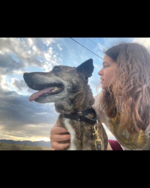 Abbi Jacobson Instagram - Desi, my guy. ❤️
My little teacher who showed up and taught me how to love unconditionally, to trust and earn trust. As someone who has often felt “tricky” to love (had been told I was tricky once by a therapist…,) I found my tricky counterpart in Desi. And I learned that “tricky” isn’t bad or hard, just different and specific. And then, that “tricky” is full of care and patience and sweetness. Desi was treated pretty badly before we met, he had a bb bullet in his side and thus had a ton of anxiety and fear around people, and so we had to figure out how to start again— and we did, together. I’m so lucky to have gotten to share my life with the gentlest, weirdest, hilarious, most handsome companion during some of the most difficult, significant and transformative years I’ll probably ever have. I will forever be grateful we found each other and for @muttscouts for finding Desi.

When a being dies, people say the sadness you feel is equivalent to the amount you loved them. And that feels true, a wave of loss for my little shadow who is no longer here. My best friend and confidant. My four time cross country backseat companion. My anxious wingman. 
My Desi-o. 

I write all this mostly to say I miss my boy and that “tricky” is my new prerequisite. Also dogs are just… well if you know you know.