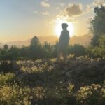Abigail Spencer Instagram - Here comes the son. ☀️🌾🐛🪻🐝🍊. #ojaibes
