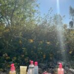 Abigail Spencer Instagram - A lil #BiodermASMR for your feed… @biodermausa 💕☀️🚿 #BiodermaPartner #MakeOffWithMe #MicellarWater #Sensibio