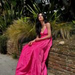 Abigail Spencer Instagram - Fuchsia (/ˈfjuːʃə/, FEW-shə) is a vivid pinkish-purplish-red color, named after the color of the flower of the fuchsia plant, which was named by a French botanist, Charles Plumier, after the 16th-century German botanist Leonhart Fuchs. 💞🪷🌾 #fuchsiaplant 📷 @claytonhawkins