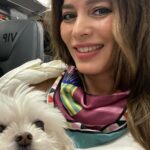 Adriana Fonseca Instagram – Acompáñame a mi nuevo destino…
______
Que bonito trato nos da @vivaaerobus son los mas amables y amorosos con las mascotas! 
.
.
.
.
.
#petlovers #petfriendly #vivaaerobus #déjatevolar #viajerosreales #lifestyle