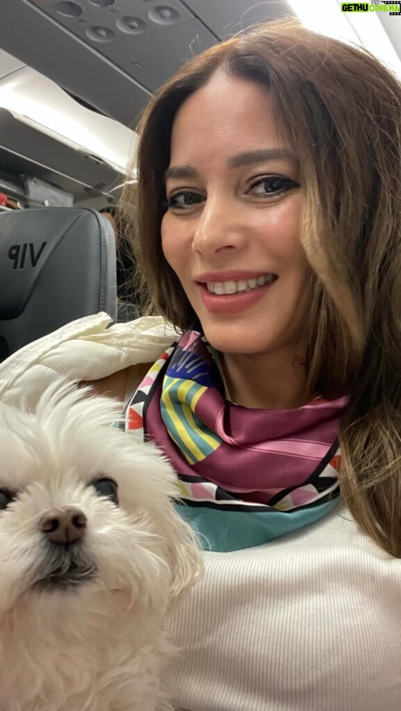 Adriana Fonseca Instagram - Acompáñame a mi nuevo destino… ______ Que bonito trato nos da @vivaaerobus son los mas amables y amorosos con las mascotas! . . . . . #petlovers #petfriendly #vivaaerobus #déjatevolar #viajerosreales #lifestyle