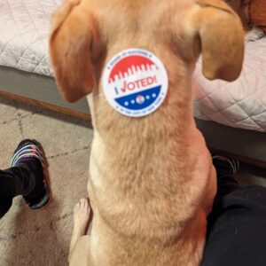 Adrienne C. Moore Instagram - No matter what, get out there and #vote. Even in the rain, #ivoted.  Polls are open until 9pm