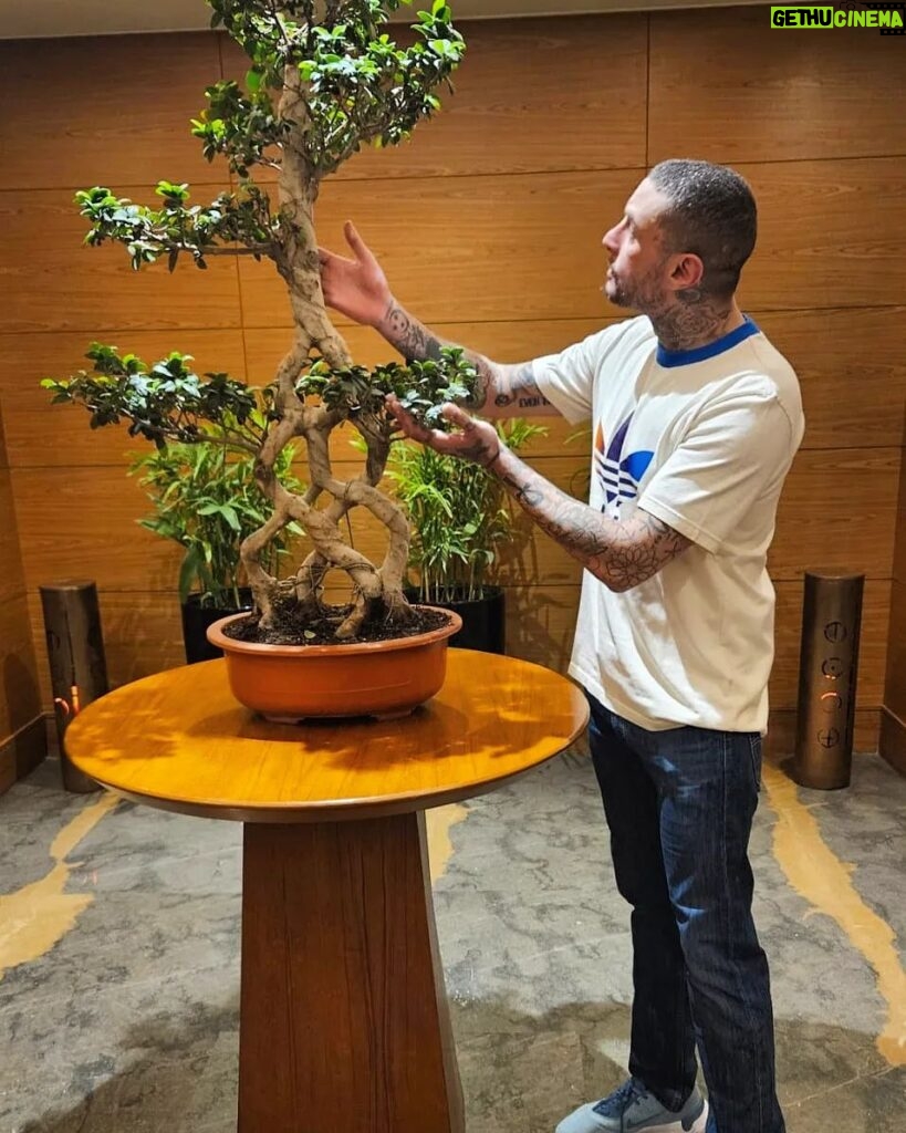 Ahmed Al Fishawy Instagram - My holy tree 🌳💚 #fishawy #ramadankareem