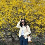Ahn Eun-jin Instagram – 2024 SPRING🌼🌸🌺