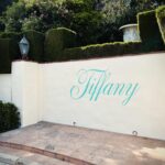 Ai Tominaga Instagram - ⁡ Tiffany’s Journey @tiffanyandco ⁡