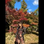 Ai Yoshikawa Instagram - ☺︎ Amazon Originalドラマ 「僕の愛しい妖怪ガールフレンド」が 本日配信スタートしました🦊 色々頑張りました、吉川。みーてね🩶