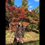 Ai Yoshikawa Instagram - ☺︎ Amazon Originalドラマ 「僕の愛しい妖怪ガールフレンド」が 本日配信スタートしました🦊 色々頑張りました、吉川。みーてね🩶