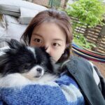 Ailee Instagram - 오늘 날씨 좋아서 마당에서 칠링💜 chillin in the backyard with this beautiful weather! 💜