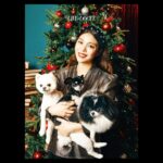 Ailee Instagram - 세상 사랑들 우리 솜쿠카 예쁜거 좀 보세요!!!! 촬영하는 동안 제가 잘 나왔는지 확인 한번도 안 하고 우리 아가들만 예쁘게 나오기만을 바라며 촬영 했었던 기억이.... 근데 정말 너무 예쁘게 잘 찍어주셔서 솜쿠카 엄마는 정말 행복 하답니다! 감사합니다 Life and Dogue~~ 🐾💕 대한민국 NO.1 펫 매거진 'LIFE AND DOUGE' December.2020 저와 딸랑구들 솜쿠카가 메인 모델로 함께 하게 되었습니다! 지금 모든 오프라인 도서 매장 & 온라인 도서 사이트에서 제 인터뷰와 귀염둥이 우리 솜쿠카의모습을 확인하실 수 있다고 합니다! @lifeanddogue_ #LIFEANDDOUGE #라이프앤도그 #솜쿠카 #반려동물 @somicookiekanu